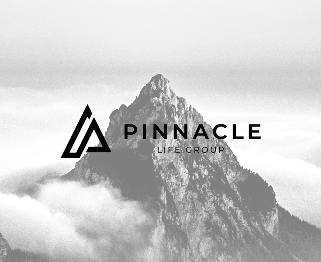 Logo of Pinnacle Life Group
